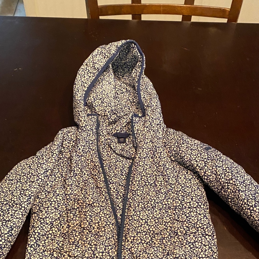 GAP Blue and White Toddler Jacket